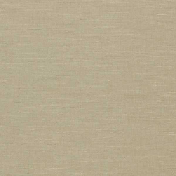 Paradiso Oatmeal Fabric by Clarke & Clarke